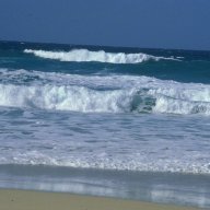 Wavedancer